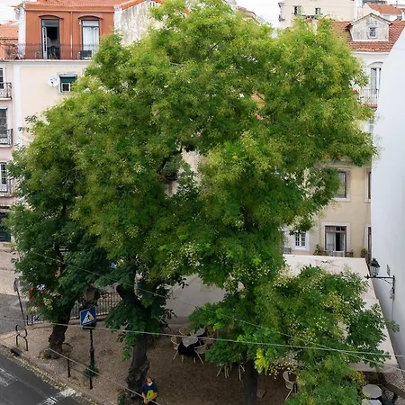 Apartment Portas Do Ceu